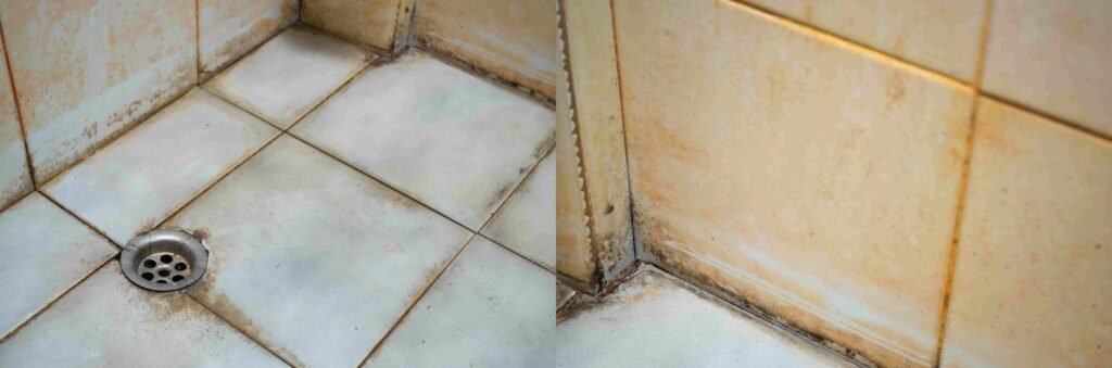 How to clean a Bathroom step by step in the fastest way